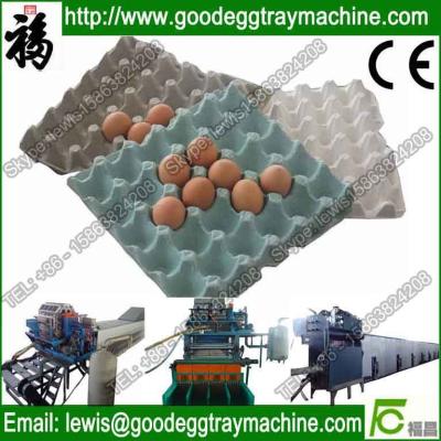 China meat portion trays pulp moulding machine for sale