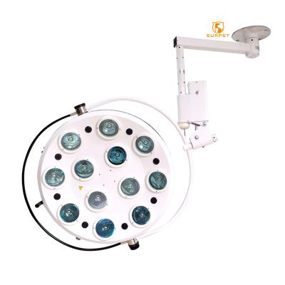 China Eco-friendly Medical Type Shadowless Working Light Examination Lamp EURPET Hole Surgical Veterinary Lamp for sale