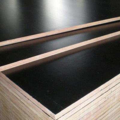 China Modern Concrete 12Mm 18Mm Film Faced Plywood Plywood Shuttering Film Faced for sale