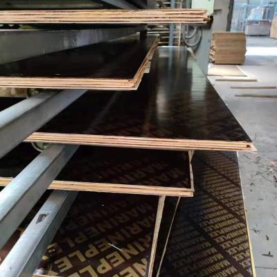 China Large Size Modern Film Faced Plywood Film Face For Plywood for sale