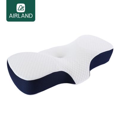 China New Product Wholesale Anti-static Neck Protection Slow Connected Memory Foam Pillow To Help Sleep Cervical Pillow for sale