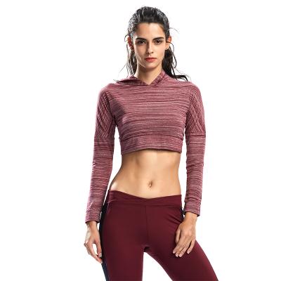 China Custom Women's Factory Wholesale Gym Yoga Top Hoodies Exercise Clothing Breathable Sports Crop Tops for sale