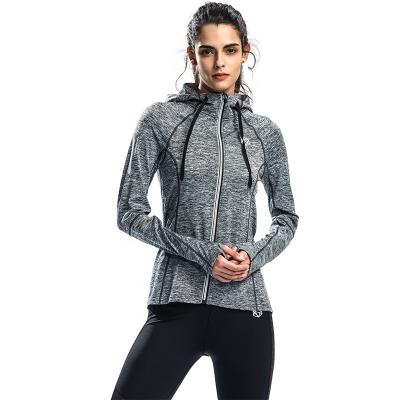 China Women Slim-cut Breathable Hot Selling Sports Wear Fitness Wear Active Hoodies With Long Sleeves for sale