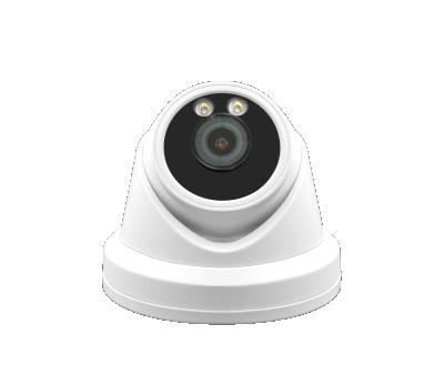 China H.265 Hik Protocol 2MP 24/7 ColorVu HD IP Turret POE Camera Human Body One Way Audio Detection Built In MIC for sale