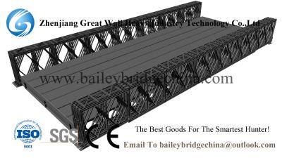 China CB200(HD200) Double Lane QSR,Bailey Bridge From China,truss bridge on sale ,steel brige for sale