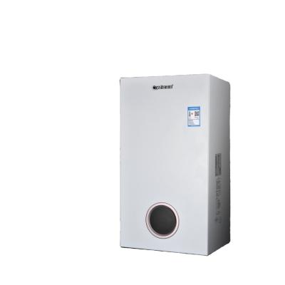 China RV Gas Boiler For Cwt Heating Home for sale