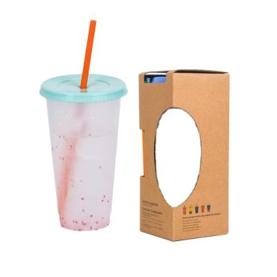 China 2022 New Hot Selling Sustainable Straw Bottle Outdoor Portable Plastic Water Cup Transparent Cups for sale