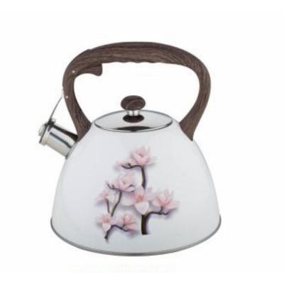 China High Redemption Rate High Quality Unique Design Stainless Steel Sustainable Water Whistling Kettle Boiling Kettle For Tea for sale