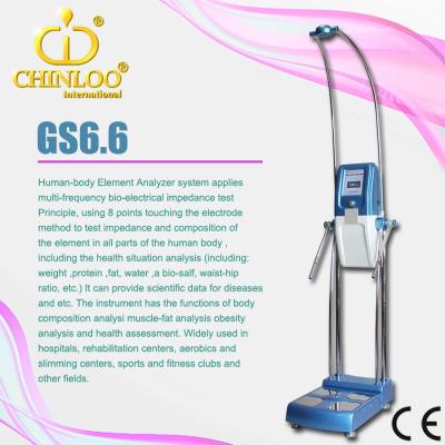 China Family use GS6.6 120 inbody bmi machine human body composition analyzer for sale (CHINLOO) for sale