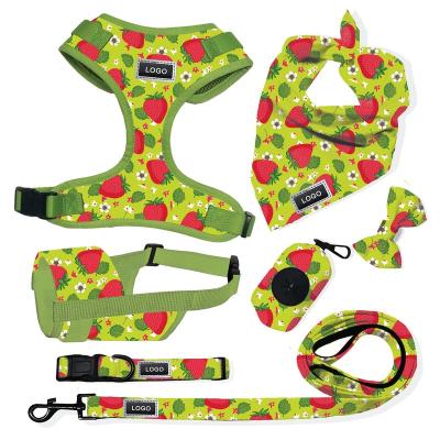 China Dogs Free Sample Eco-Friendly Pet Supplies Accessory Dog Harness Dog Collar Dog Leashes Noise Set Bag for sale