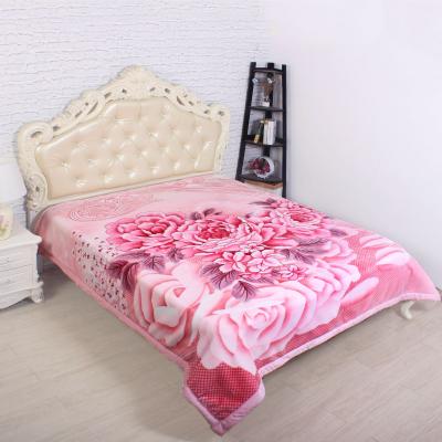 China Wearable Korean Raschel Printed Mink Blankets 1 Or 2 Ply Bed Blanket Double Side Embossed Blankets for sale