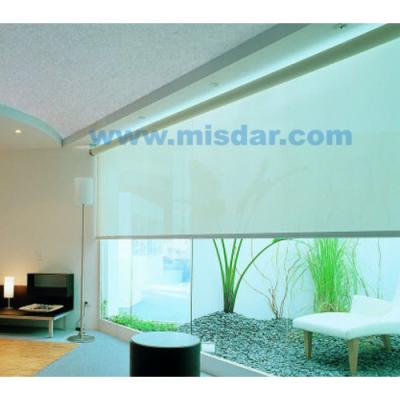 China ROMAN Outdoor Roller Blinds, Bathroom Roller Blinds, Transparent PVC Blinds for sale