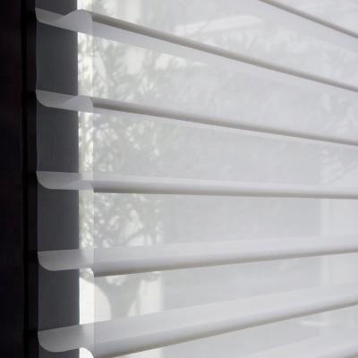 China Modern Custom Pure Shade Roller Shade Sheer Shade Blinds for sale