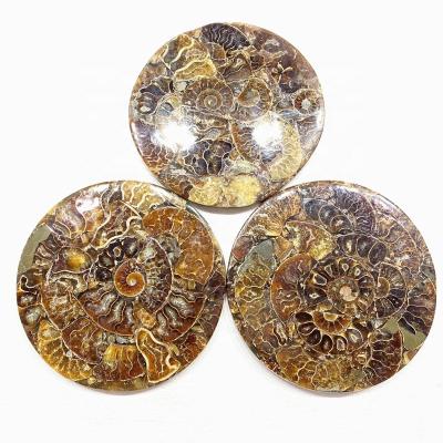 China Hot Selling Europe Natural Stone Crystals Healing Stone Crystals Folk Crafts Ammonite Dish For Decoration for sale