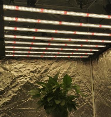 China Seed starting popular high quality quantum 480w 600W 2020 5x5ft lm301h 301b powerful bar led to grow light set for sale