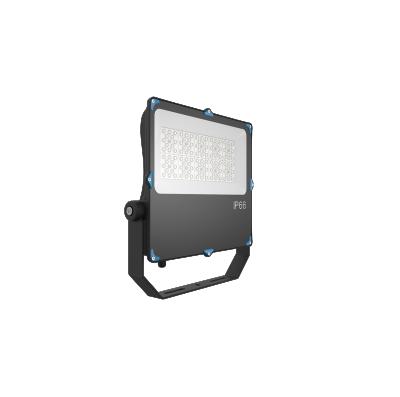 China AC90-305v 10w 20w 30w 80w 100w 150w 200w LANDSCAPE led flood light for sale