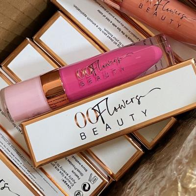 China Hot Sale Private Label Vegan Lipsticks Waterproof Long Lasting Waterproof Lip Gloss Lip Gloss Lip Gloss Wholesale Package Clear Lip Gloss for sale