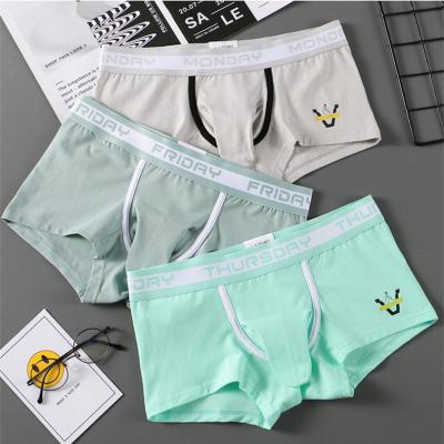 China Antibacterial Low Waist Mens Elephant Trunk Cotton Breathable Boxer Briefs for sale