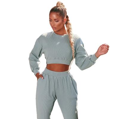 China QUICK DRY Long Sleeve Pants Hoodie Suit Women Pullover Sweatshirt Casual Sweatpants Women Crop Hoodie Top Set for sale