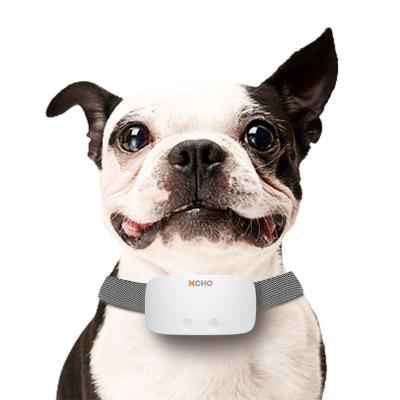 China Stored Adjustable Pet Collar Anti Barking Collar Stop Bark Dog Shock Electric Shock Collar Static Rechargeable Training Equipment 7 Level for sale