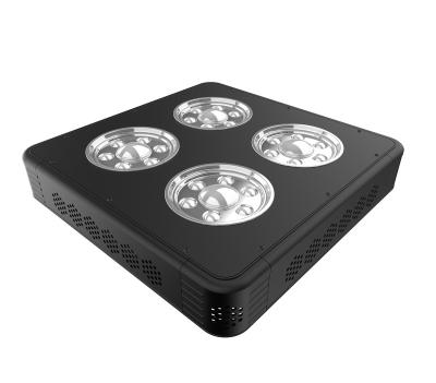 China Seed Starting Black CTLite G2E 240W 2020 Hot Sales Switch Control Led Grow Light Indoor Plant Led Grow Lamp Easy Maintenance for sale