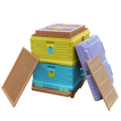 China Plastic Farms Bee Masses Double Layers Plastic Langstroth Beehive Langstroth Beehive for sale