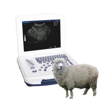 China Portable Full Digital Laptop Sheep Ultrasound Ultrasound Machine Veterinary Ultrasound 470*220*400mm for sale