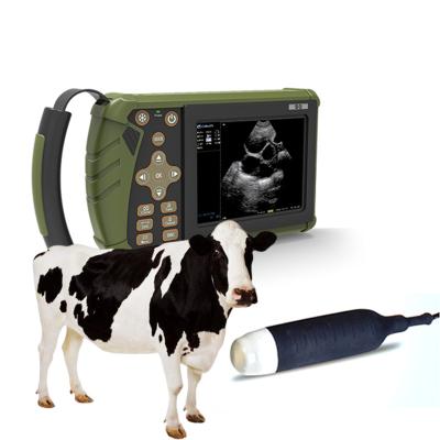 China Portable Scanner Machine Vet Animal Veterinary Ultrasound 2600mAH for sale