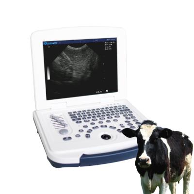 China Hospital portable color doppler ecograph best price 3D 4D color doppler veterinary portable ultrasound 470*220*400mm for sale