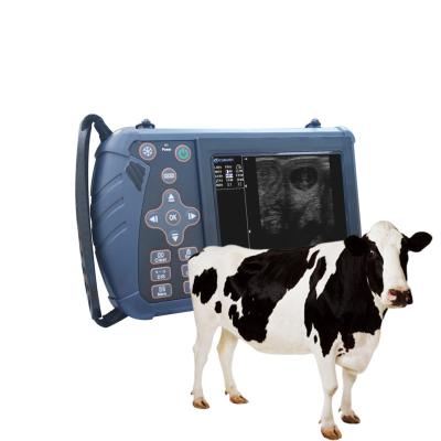 China Handheld Pet Cat Dog Ultrasound Scanner Vet Pregnancy Ultrasound Machine 240*120*45mm for sale