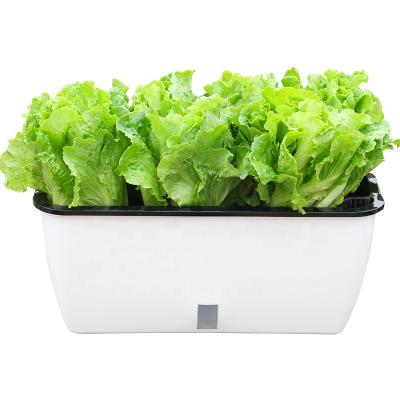 China New Balcony 2022 Eco - Friendly Automatic Water Absorption Squares Plastic Planting Pot for sale