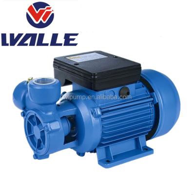 China DB Series High Quality Small Vortex Water Household Water Pump for sale