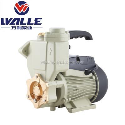 China High Efficiency 0.75 Hp Home Use Automatic Electric Self Priming Water Pumps for sale