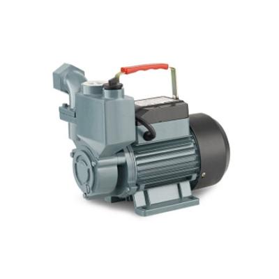 China Other KINGNEW Wzb Series 1WZB-65 Hot Selling High Pressure Pump 0.75HP Electric Peripheral Water Pump For Sale for sale