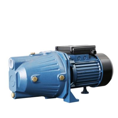 China Other KINGNEW JET-100L Self-priming Garden Pump Well Gareden Pump 1.0HP Irrigation Cleaning Pump For Garden for sale