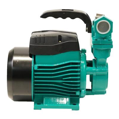 China Other new 1WZB self priming pump,absorbing water pump,automatic pump homeuse irrigation hotsale 0.75hp 550W for sale