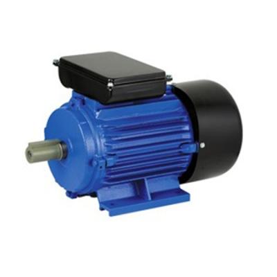 China YL Series Single Phase Two Value Capacitor Dripproof Start Motors AC 220V Induction Motor For Machinery for sale