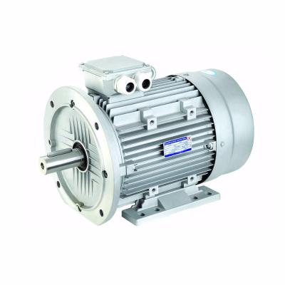 China Y2-80M1-4 0.55KW 1390r/min Speed ​​380V Three Phase Asynchronous Motor 380V Compliance with IEC Standards for sale