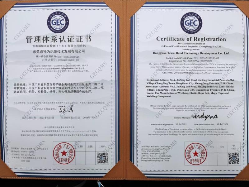 ISO9001 - Dongguan Tewei Band Technology Development Co., Ltd