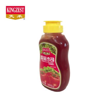 China Tomato Premium Quality Fresh Tasty Bulk Tomato Ketchup With Squeeze Bottle In Different Sizes for sale