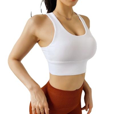 China Breathable sports use women's fitness shockproof running bra quick-drying large size gathering back plus size yoga sports bra for sale