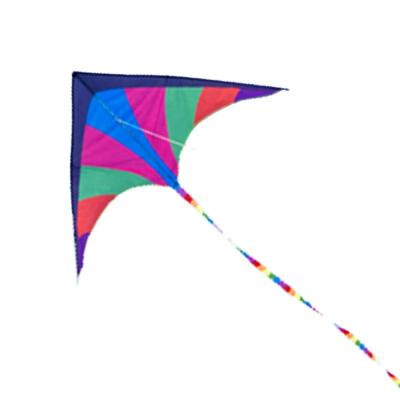 China China Polyester Easy Flying Delta Wing Kite With 5m Long Tail Kids Outdoor Toy Sports Kites for sale