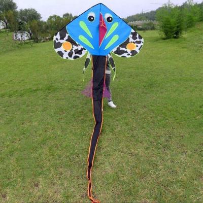 China Ripstop Polyester Chinese Fish Kite With Long Tail for sale