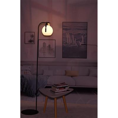 China 2021 New Arrival 16 Modern Colors Optional Solid Modern Floor Lamp With Remote Controller for sale