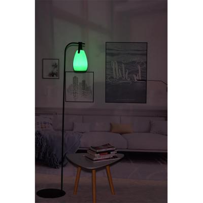 China 2021 Modern Hot Sale Amazon Color Changing Corner Led Lamp Floor Light Remote Control for sale