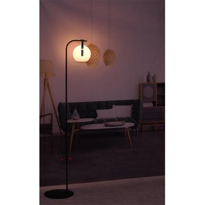 China Modern BSCI Certified Manufacturer Rechargeable Led Light Modern Standing Floor Lamp For Living Room for sale