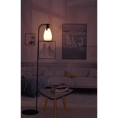 China BSCI Modern Colorful Environmental Protection Energy Saving Corner Led Standing Lamp for sale