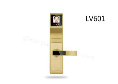 China Face Recognition Fingerprint Door Lock Anti - Twins Identification Function Zinc Alloy Material for sale