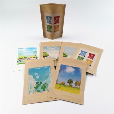 China Safety Custom Printed Food Grade Nuts/Powders Kraft Paper Pla Stand Biodegradable Pouch Degradable Garbage Bags for sale