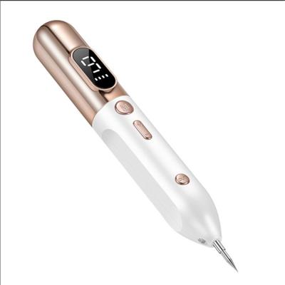 China Pigment Removal 2021 Professional Electric Beauty USB Freckles Brown Spot Nevus Tattoo Nevus Tattoo Mole Remover Filler Pen for sale